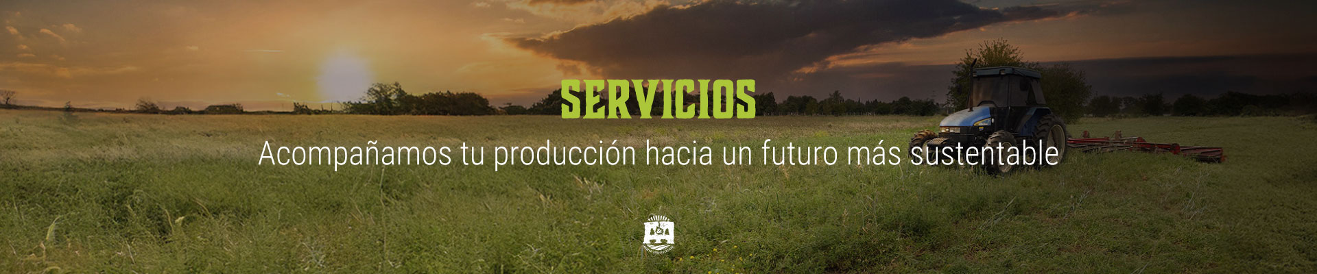 banner-servicio-web